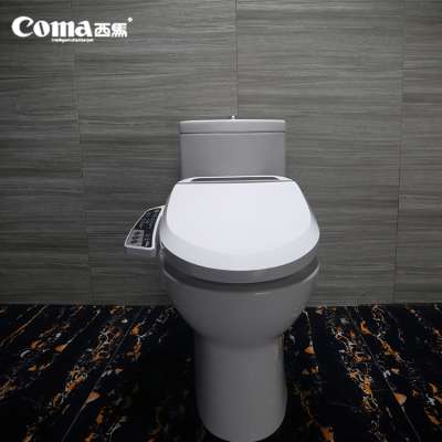 Coma Two Piece Round Auto Cleansing Electric Bidet Toilet Manufacturer