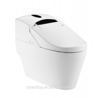 Environmental Electric Automatic Toilet ZJS-02