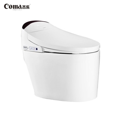 High Quality Chinese Waterless Wc Smart Toilet Intelligent,Toilet Seat Automatic