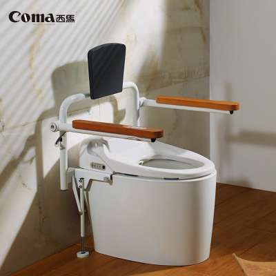 Coma Mute And Anticollision Western-Style Intelligent Sanitary Toilet For the Elderly