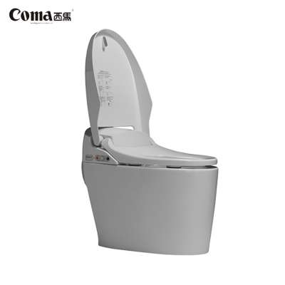 Coma No Water Tank Self-Washing Plastic Best Intelligent Toliet Bidet