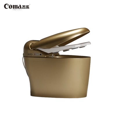 Hot Selling Cheap Custom Luxury Gold Color Electric Siphonic Toilet, Paperless Toilet Seat Cover