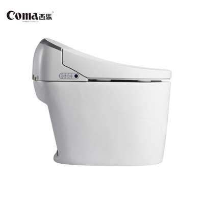 China Manufacturer Wholesale Cheap Price Style Smart Toilet