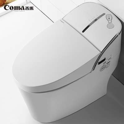 Coma Women Cleaning Bathroom Intelligent New Auto Flush Toilet