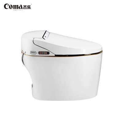 Sanitary Ware White Modern Intelligent Automatic Composting Toilet