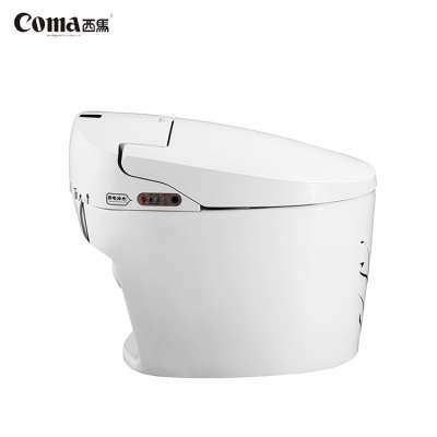 CE Certificate Coma Temperature Adjustment Best Bathroom Intelligent Electric Bidet Dual Flush Toilet