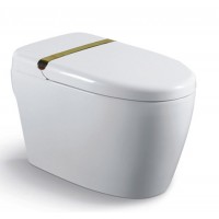 CE Smart Intelligent Toilets 980