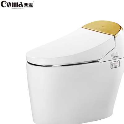 Hot Sale High Quality Warm Wind Dry Toilet, Bidet Smart Toilet