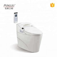 Popular sanitary ware smart toilet auto washing toilet for export