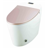 Remote Operated Integrated Electric Smart Toilet