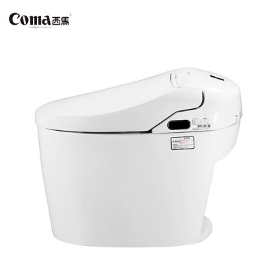 Modern White Situation Display Bathroom Design Wc Intelligent Flush Toilet