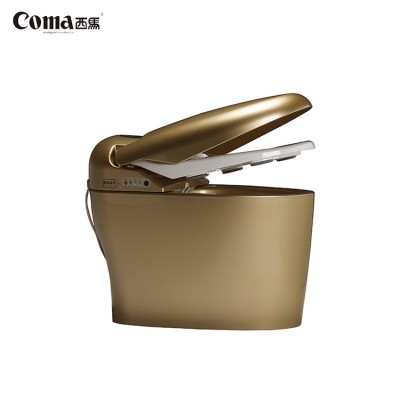 New Fashion Gold Design Temperature Adjustment Family Electronic Smart Toilet