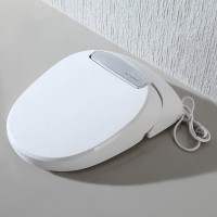 Self-Cleaning Water Massage Bidet Toilet Seat