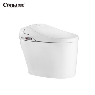 Waterless Electric Automatic Flush Best Smart Toilet Supply to Leroy Merlin with CE